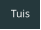 Tuis