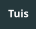Tuis